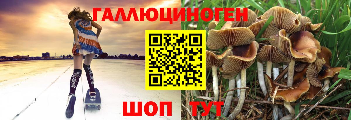 Коркино  Псилоцибиновые грибы GOLDEN TEACHER  Вход с VPN 